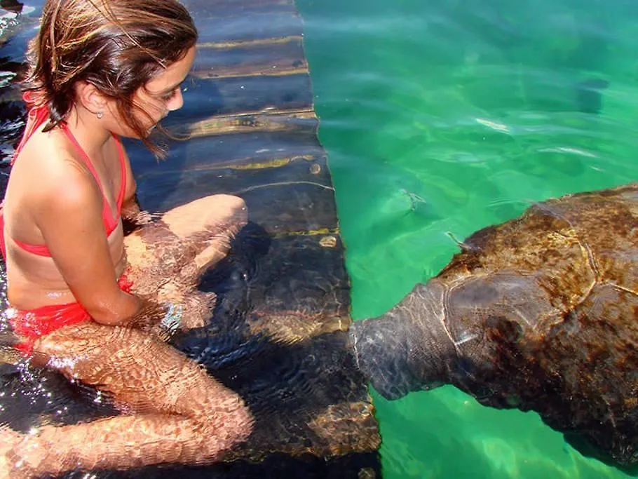 Prázdninový dům Brisas Puerto Morelos